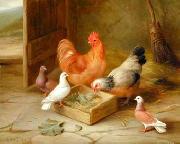 unknow artist poultry  141 France oil painting artist